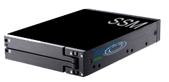 Safe Server Module (SSM)